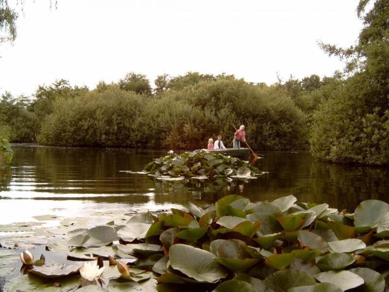 Erfgoedlogies Bed And Breakfast 'T Olde Hof Westervelde Екстер'єр фото